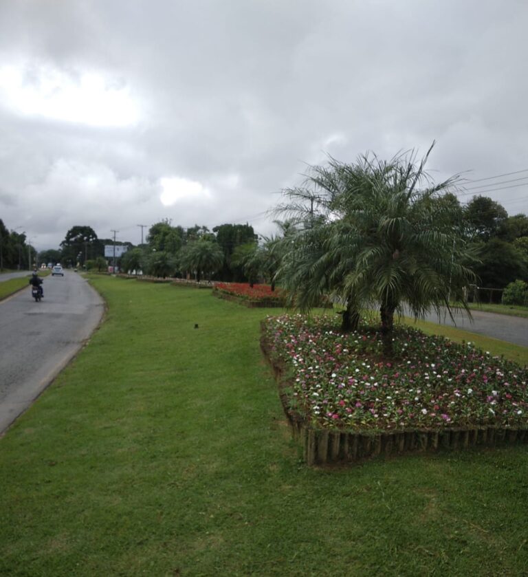 Jardins dos bairros Roça Grande e Centro recebem manutenção nesta semana