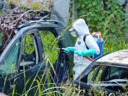 saude-realiza-pulverizacao-contra-a-dengue-no-bairro-roca-grande