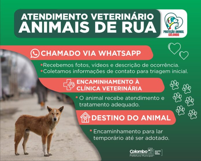 entenda-como-funciona-o-atendimento-veterinario-aos-animais-de-rua