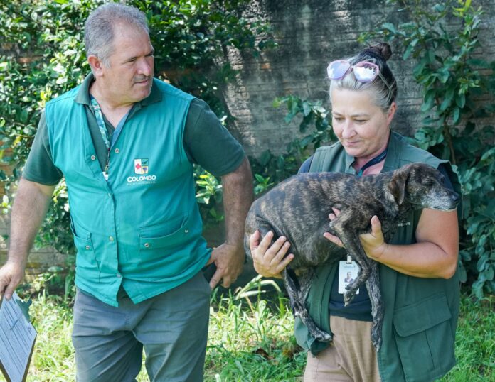 protecao-animal-de-colombo-realiza-resgate-no-bairro-paloma