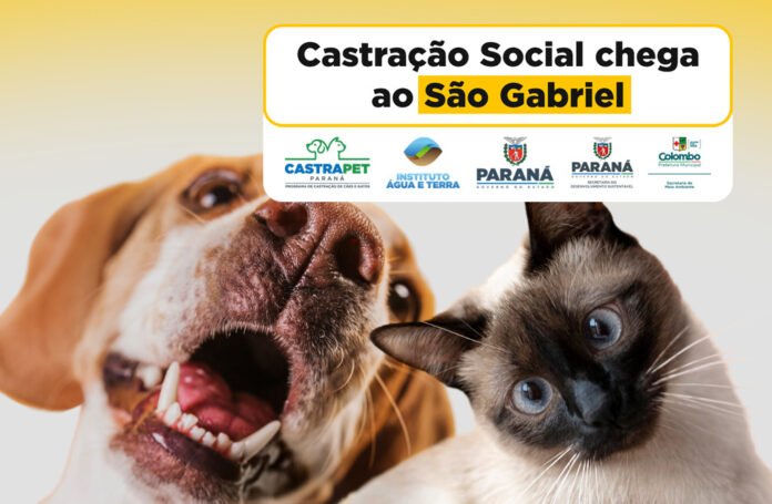 castracao-coletiva-para-animais-de-familias-de-baixa-renda-acontece-em-colombo
