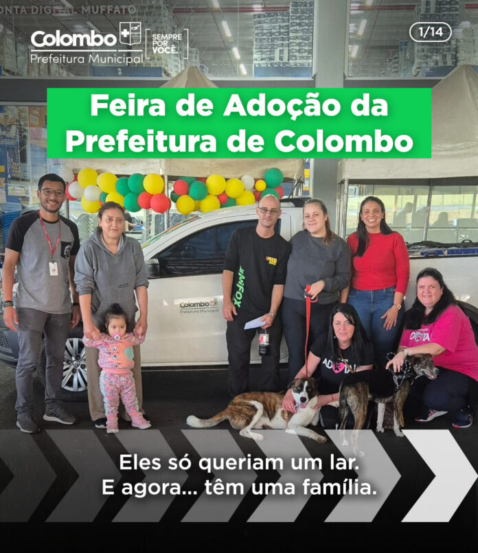 prefeitura-transforma-a-vida-de-animais-resgatados-nos-terminais