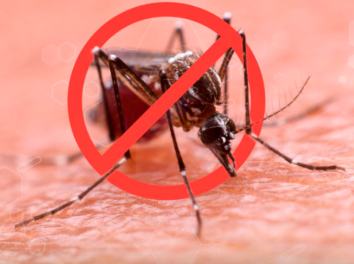 dengue-em-colombo:-63-casos-confirmados