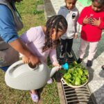 secretaria-de-meio-ambiente-promove-atividades-de-sustentabilidade-em-escolas-de-colombo