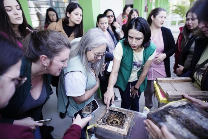 professores-participam-da-1a-oficina-de-horta-pedagogica-do-programa-conexao-crianca-&-natureza