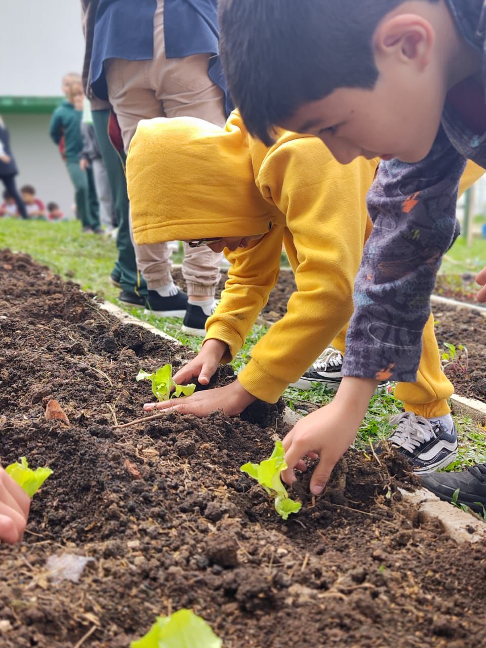 prefeitura-inaugura-horta-pedagogica-na-escola-municipal-isolina-ceccon-de-colombo