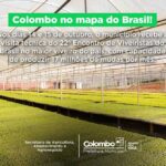 colombo-recebe-visita-tecnica-do-encontro-de-viveiristas-do-brasil