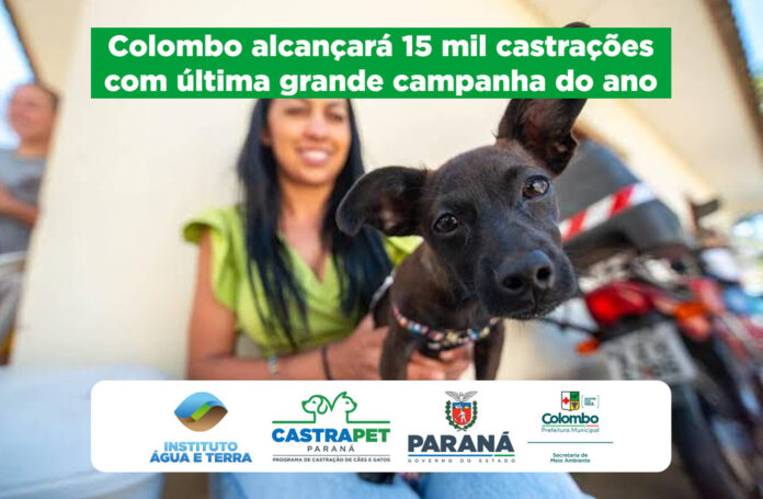 colombo-alcanca-a-marca-de-15-mil-castracoes-em-campanha-realizada-neste-mes