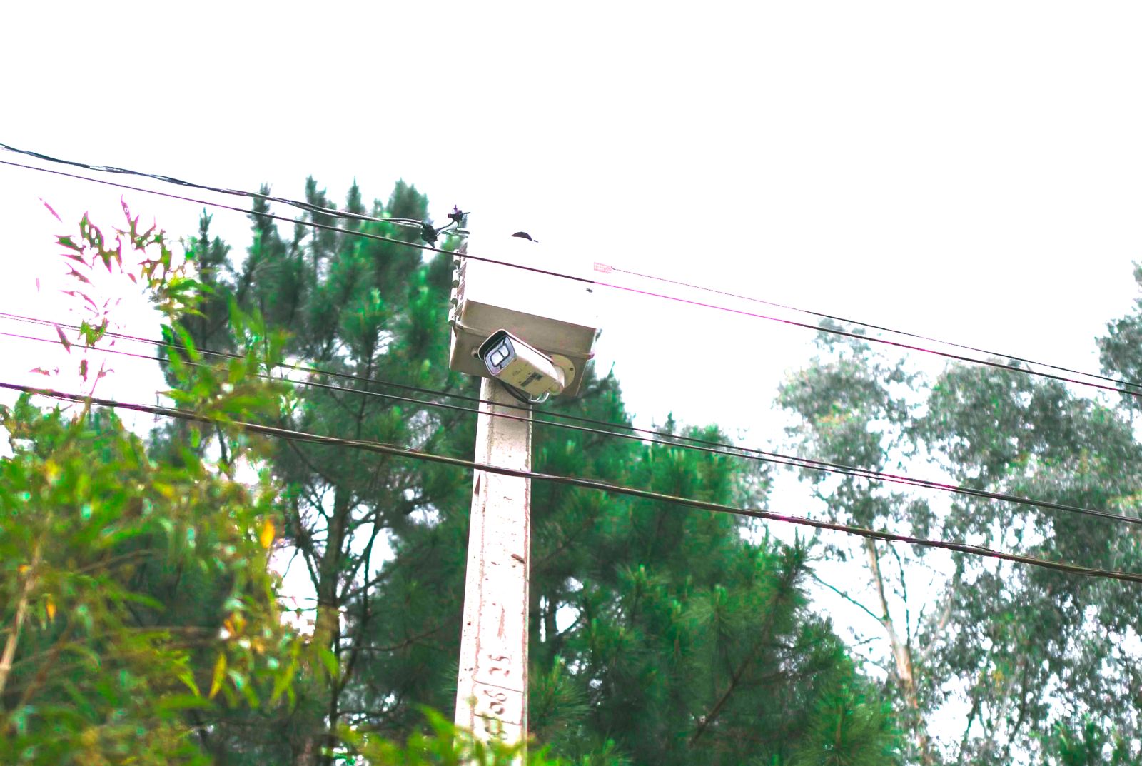 cameras-para-coibir-descarte-irregular-de-lixo-sao-instaladas