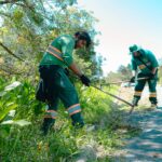 meio-ambiente-divulga-numeros-do-colombo-+-limpa-no-bairro-embu