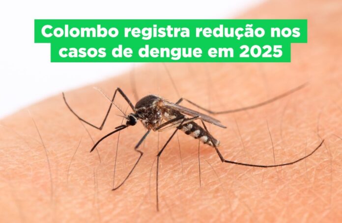 colombo-registra-queda-significativa-nos-casos-de-dengue-em-2025