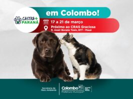 colombo-promove-mutirao-de-castracao-gratuita-para-caes-e-gatos-entre-17-e-21-de-marco