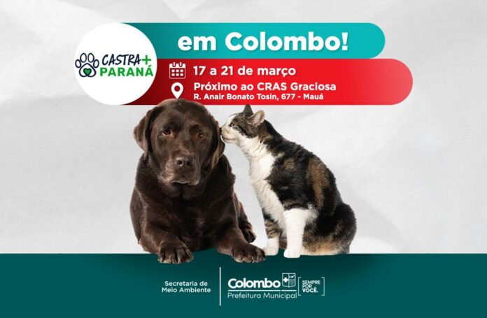 colombo-promove-mutirao-de-castracao-gratuita-para-caes-e-gatos-entre-17-e-21-de-marco