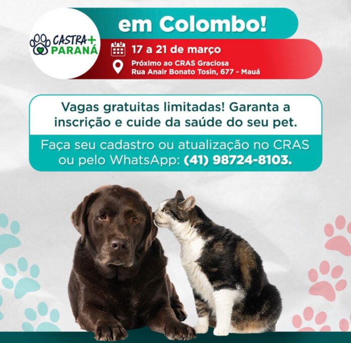 castra+parana-2-chega-a-colombo-com-mil-castracoes-gratuitas-de-caes-e-gatos