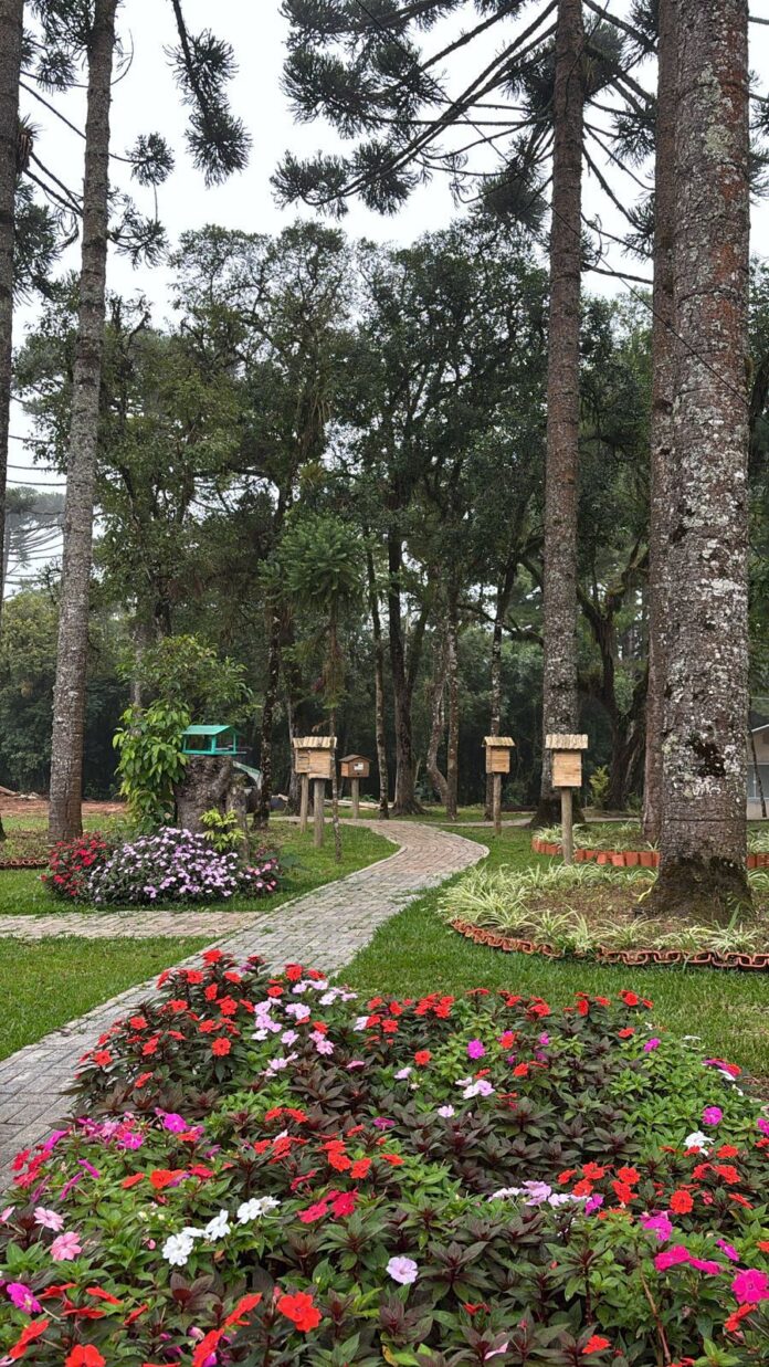 projeto-sustentavel-em-maternidade-de-colombo-ganha-reconhecimento-nacional-na-area-da-saude