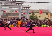 Punho da Flor de Ameixeira de Juancheng (Shandong): tradição marcial que une cultura e técnica