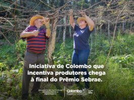 colombo-e-finalista-do-premio-sebrae-prefeitura-empreendedora-com-projeto-de-viticultura