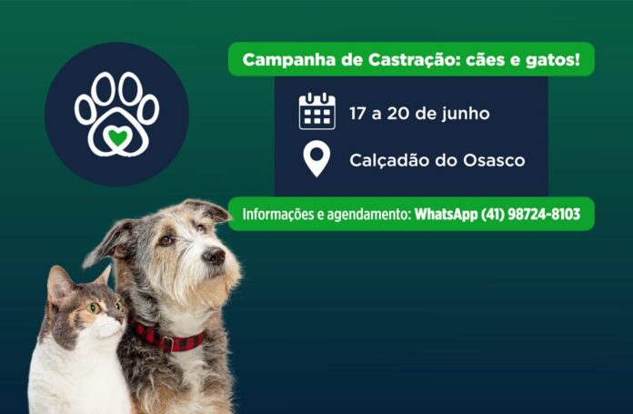 cadastros-abertos-para-campanha-gratuita-de-castracao-em-colombo