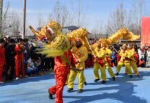 Dança do Dragão com Lanternas de Juancheng: Cinco Séculos de Tradição e Vitalidade