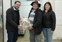 Colombo distribui quase 70 mil mudas de morango e impulsiona a produção rural colombo-distribui-quase-70-mil-mudas-de-morango-e-impulsiona-a-producao-rural