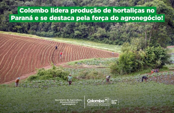 forca-do-agronegocio:-colombo-e-lider-na-producao-de-hortalicas-no-parana