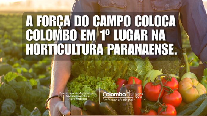 colombo-aparece-entre-os-principais-polos-de-horticultura-do-parana