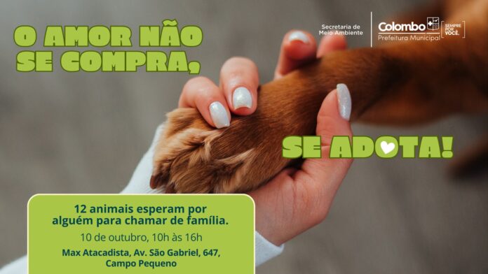 colombo-promove-feira-de-adocao-de-animais