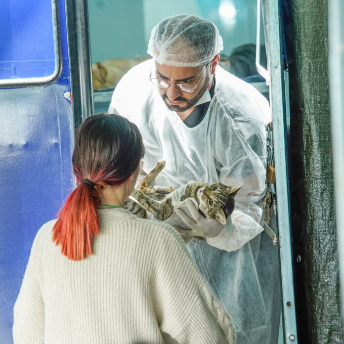 mutirao-de-castracao-atende-246-caes-e-gatos-no-atuba